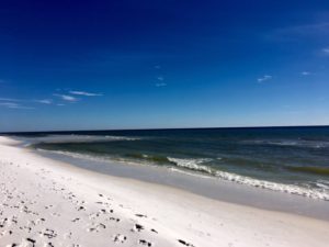 Navarre Fl 12-2