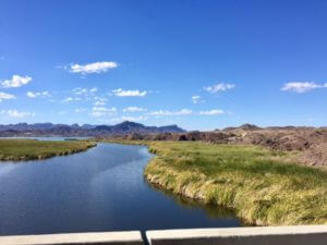 Lake Havasu Parker AZ