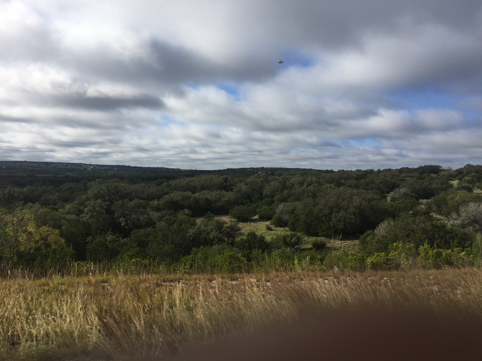 Texas HWY 10