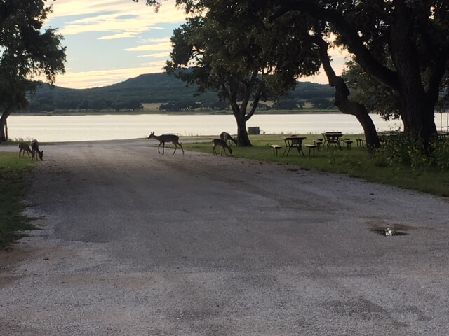 Medina Lake TX