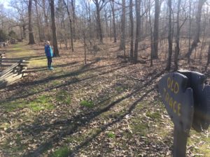 Natchez Trace TN