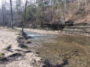 Natchez Trace TN