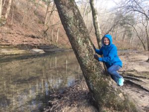 Natchez Trace TN