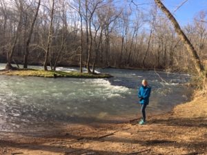 Natchez Trace TN