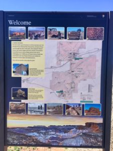 Petrified Forest National Park AZ