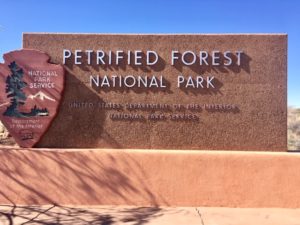 Petrified Forest National Park AZ