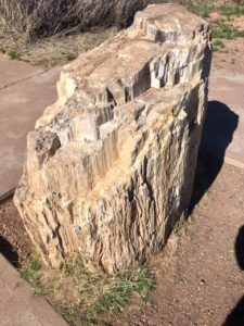 Petrified Forest National Park AZ