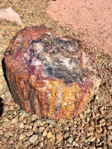 Petrified Forest National Park AZ