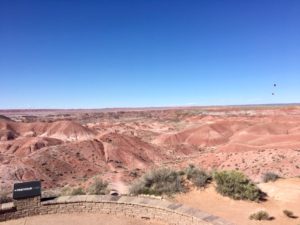 Petrified Forest National Park AZ