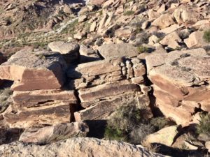 Petrified Forest National Park AZ