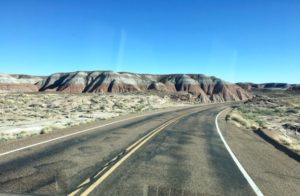 Petrified Forest National Park AZ