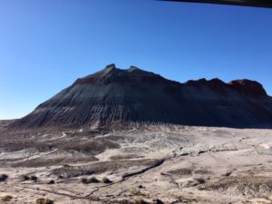 Petrified Forest National Park AZ