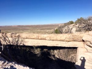 Petrified Forest National Park AZ