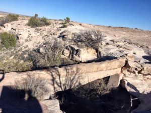 Petrified Forest National Park AZ