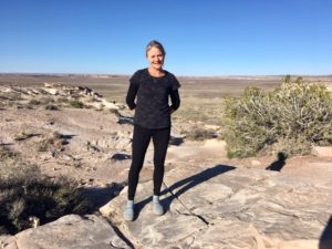 Petrified Forest National Park AZ