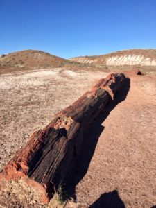 Petrified Forest National Park AZ