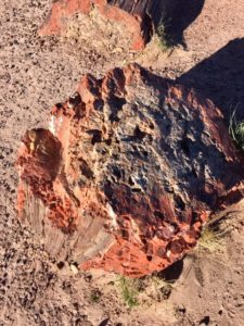 Petrified Forest National Park AZ