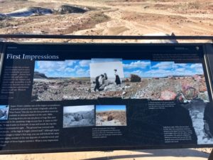 Petrified Forest National Park AZ