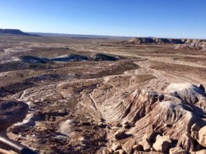 Petrified Forest National Park AZ