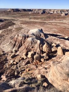 Petrified Forest National Park AZ