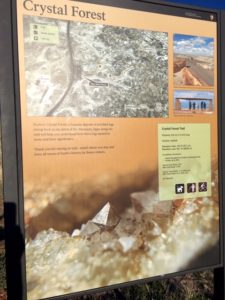 Petrified Forest National Park AZ