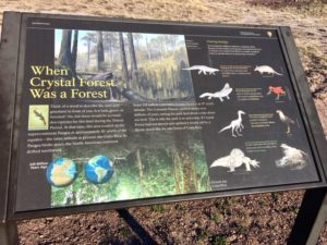 Petrified Forest National Park AZ