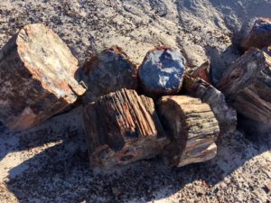 Petrified Forest National Park AZ