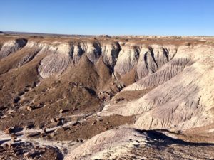 Petrified Forest National Park AZ