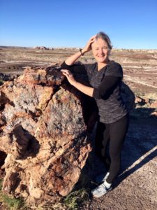 Petrified Forest National Park AZ