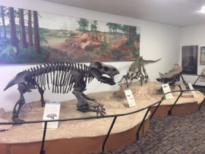 Petrified Forest National Park AZ