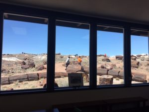 Petrified Forest National Park AZ