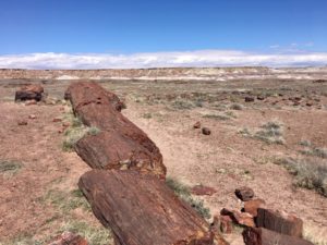 Petrified Forest National Park AZ