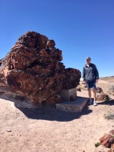 Petrified Forest National Park AZ