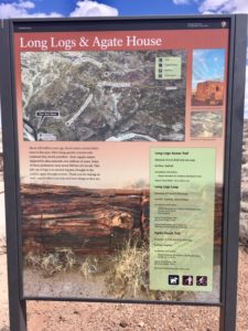 Petrified Forest National Park AZ