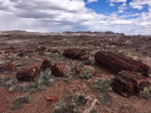 Petrified Forest National Park AZ