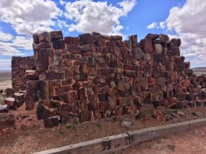 Petrified Forest National Park AZ