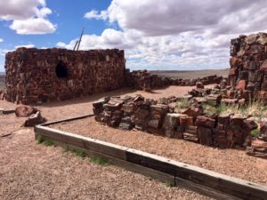 Petrified Forest National Park AZ