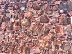 Petrified Forest National Park AZ