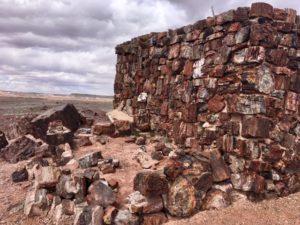 Petrified Forest National Park AZ