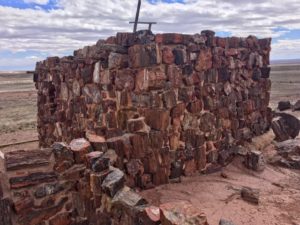 Petrified Forest National Park AZ