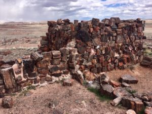 Petrified Forest National Park AZ